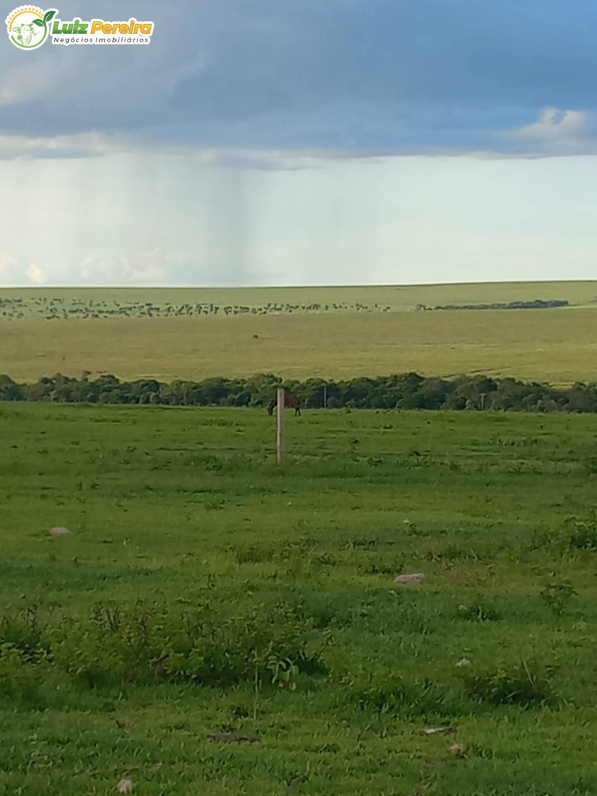 Fazenda à venda, 3675m² - Foto 2