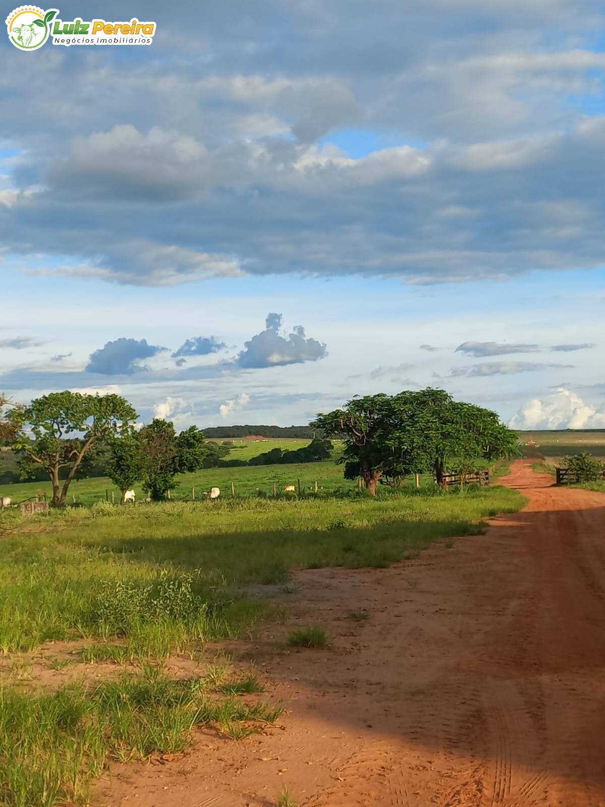 Fazenda à venda, 3675m² - Foto 6