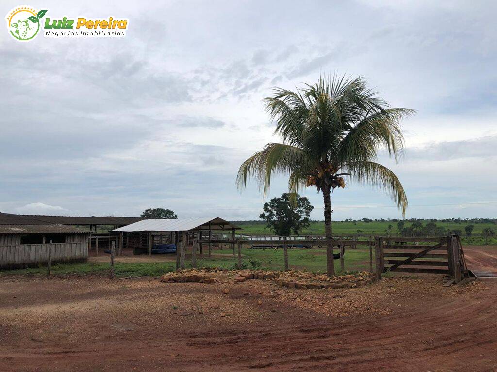 Fazenda à venda, 3264m² - Foto 13