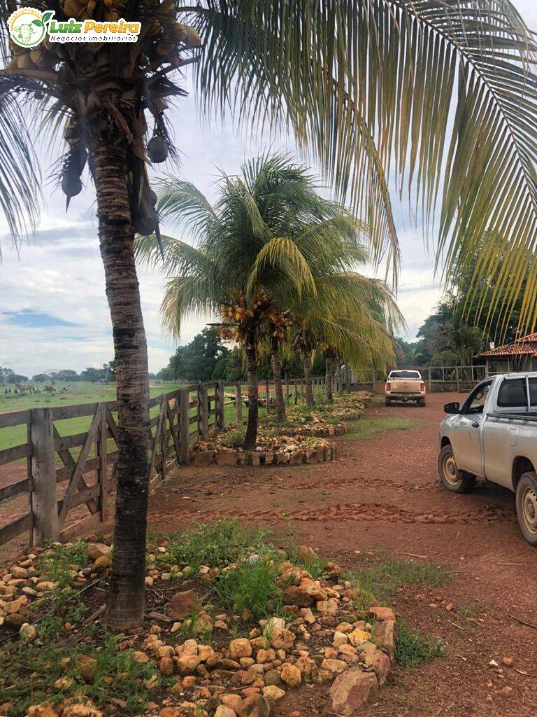 Fazenda à venda, 3264m² - Foto 14