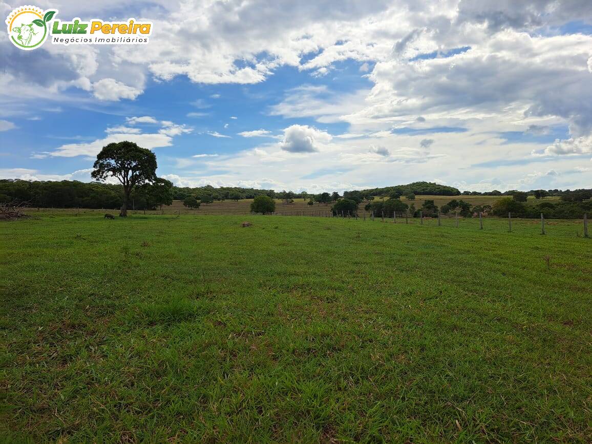 Terreno à venda, 716m² - Foto 6