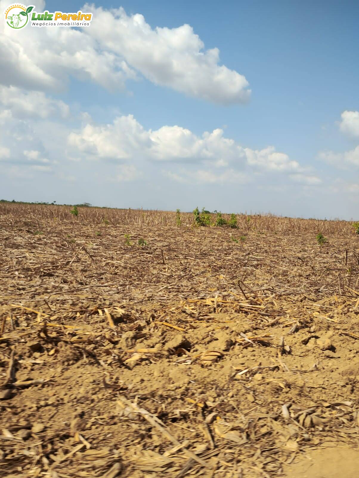 Terreno à venda, 300m² - Foto 6