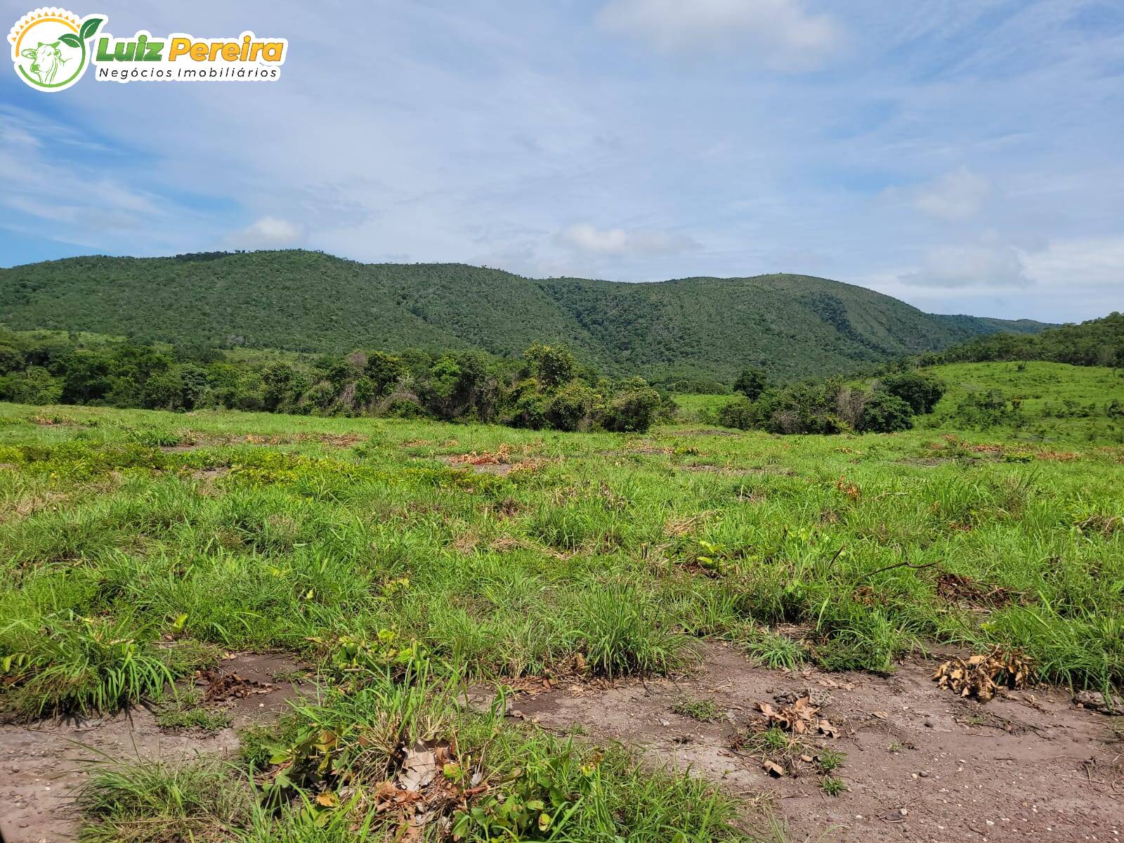 Fazenda à venda, 1488m² - Foto 10