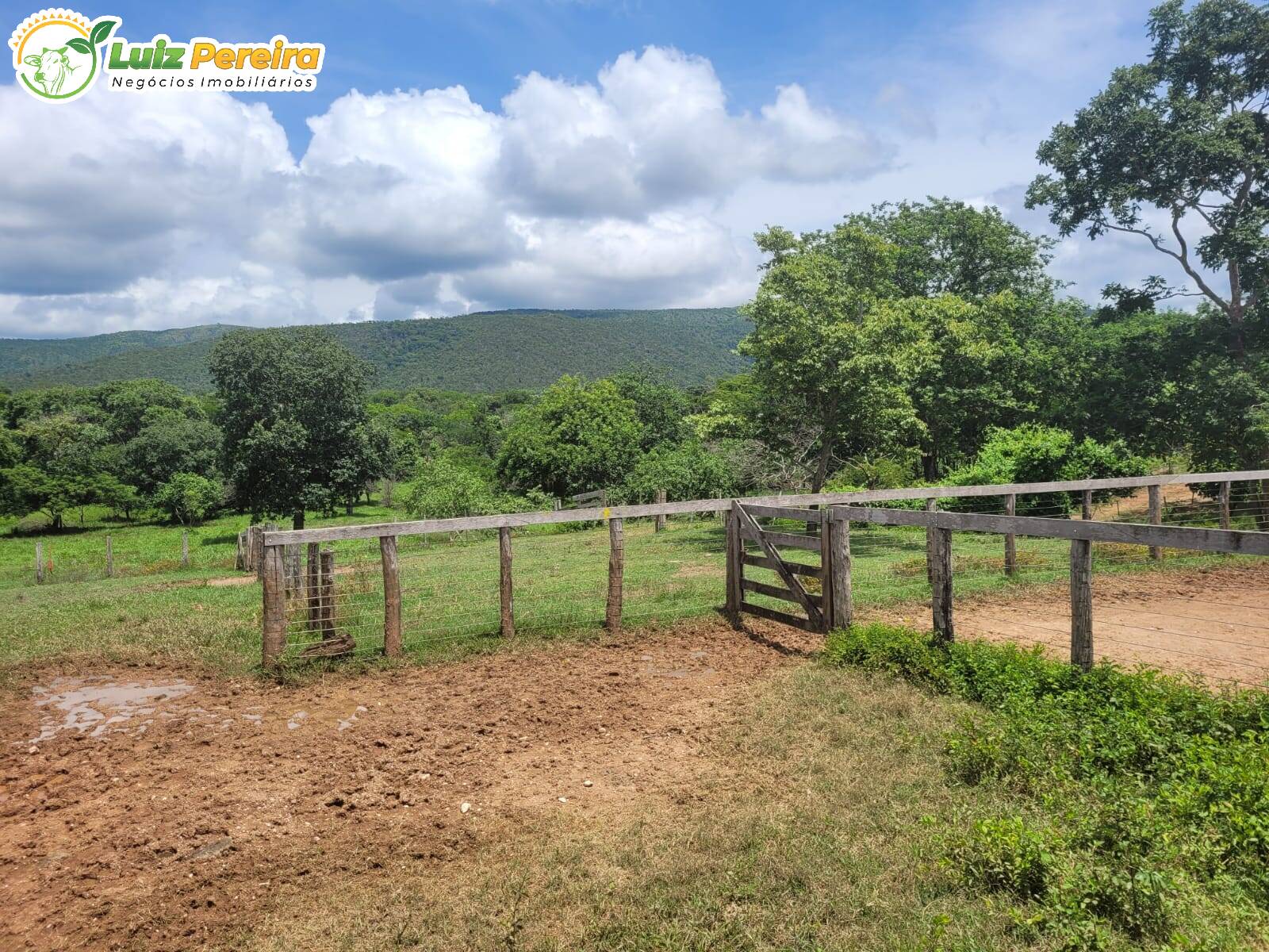 Fazenda à venda, 1488m² - Foto 11