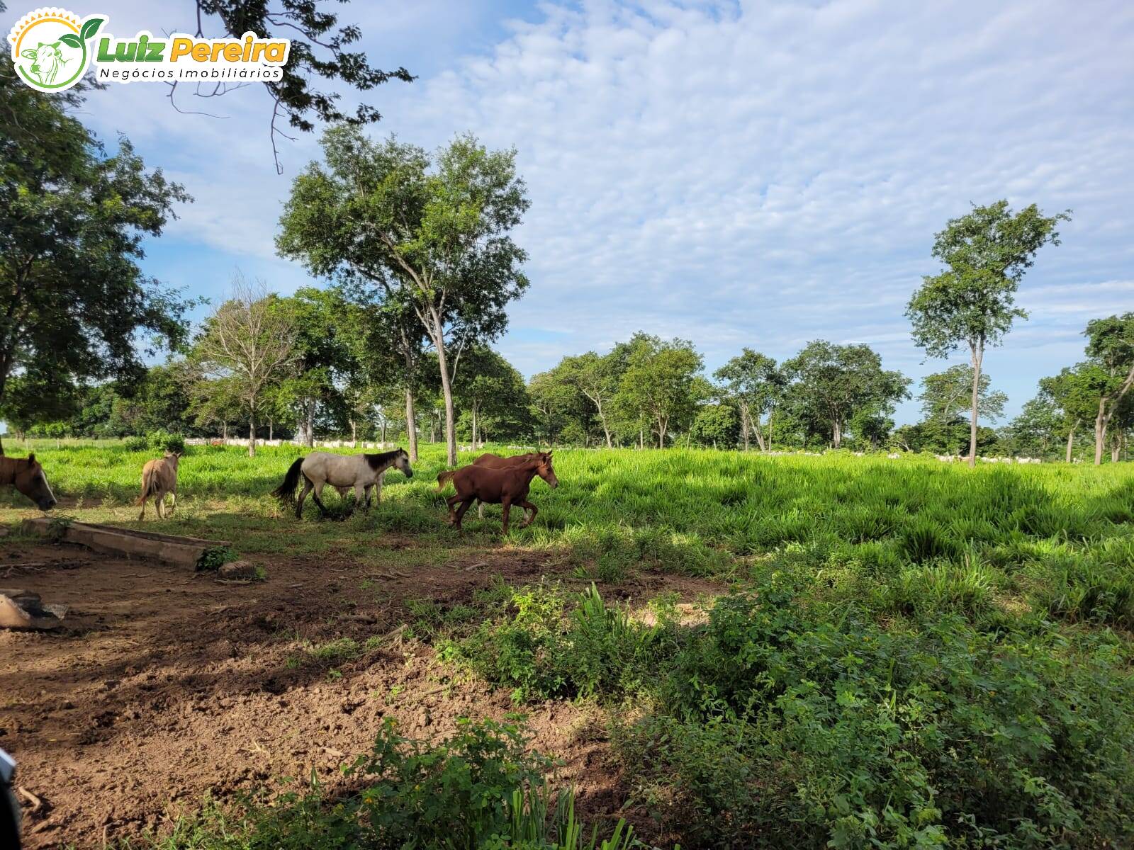 Fazenda à venda, 1488m² - Foto 43