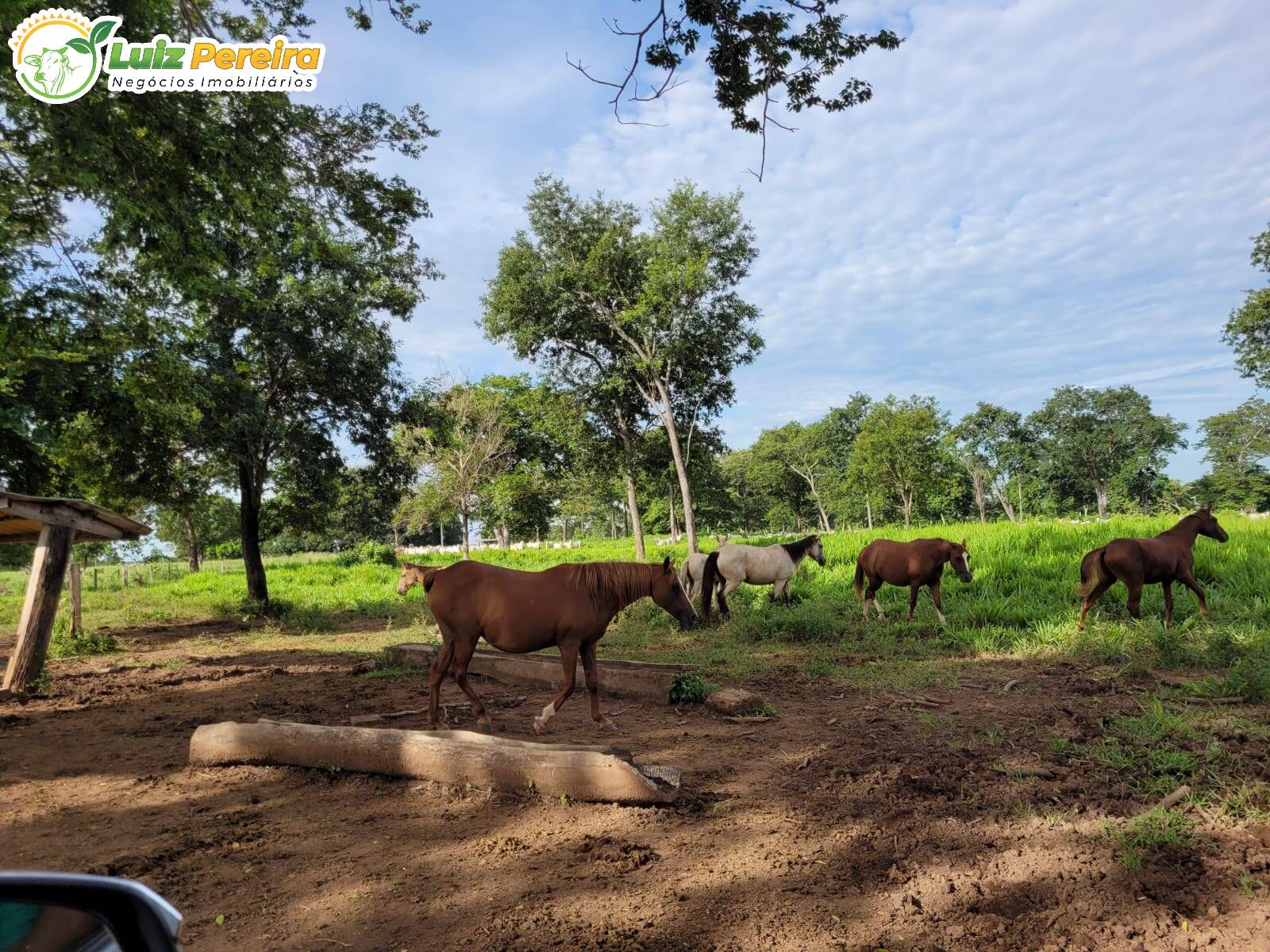 Fazenda à venda, 1488m² - Foto 45