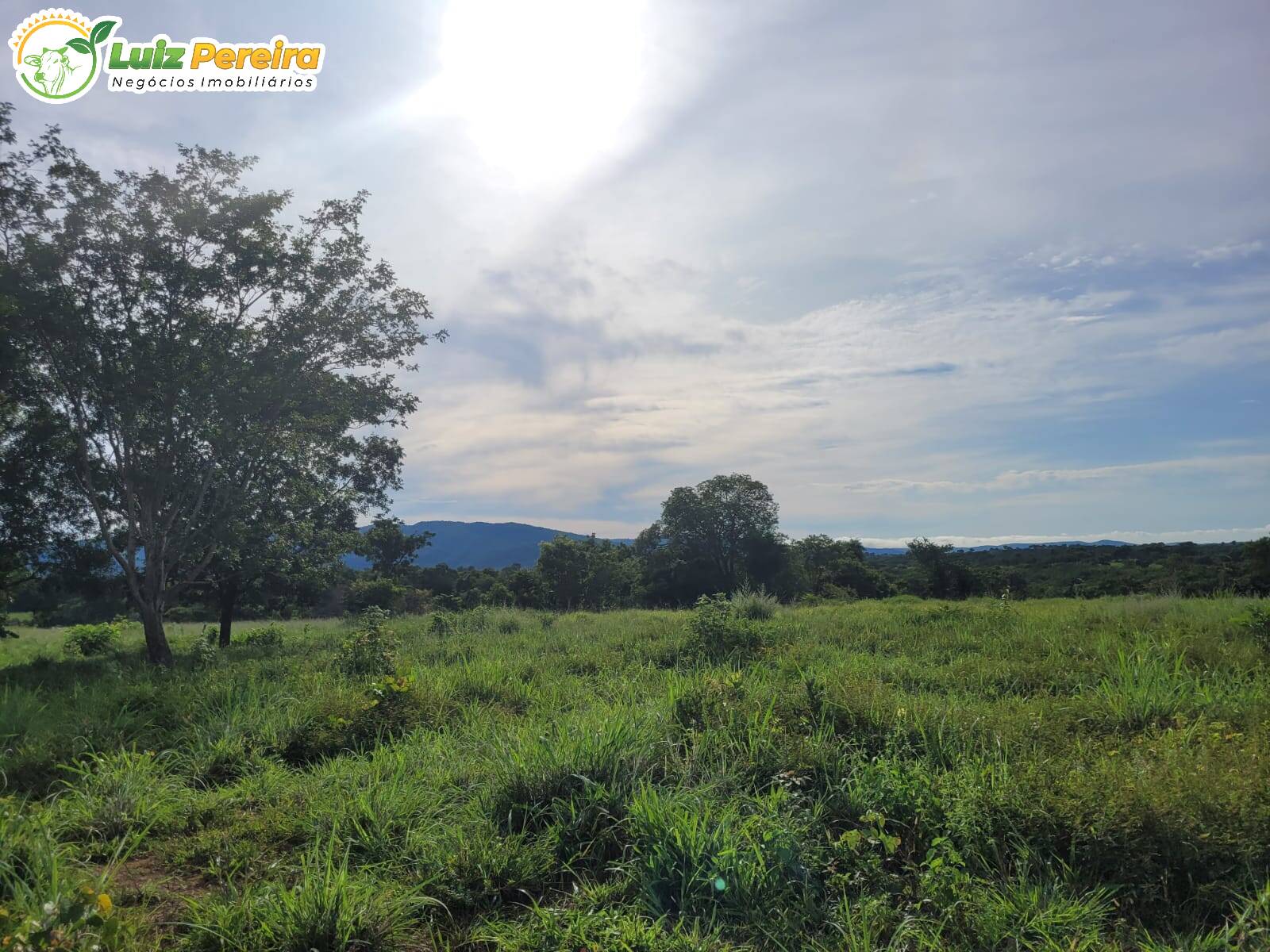 Fazenda à venda, 1488m² - Foto 18