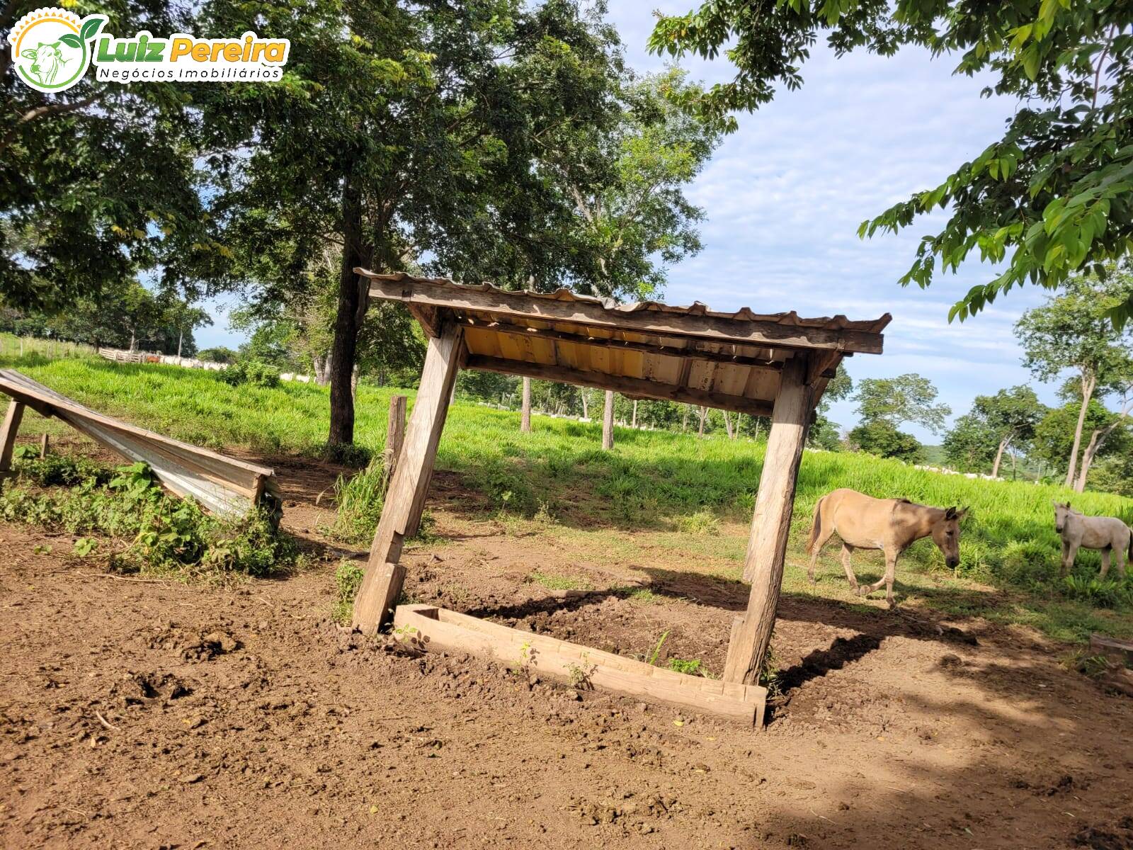 Fazenda à venda, 1488m² - Foto 48