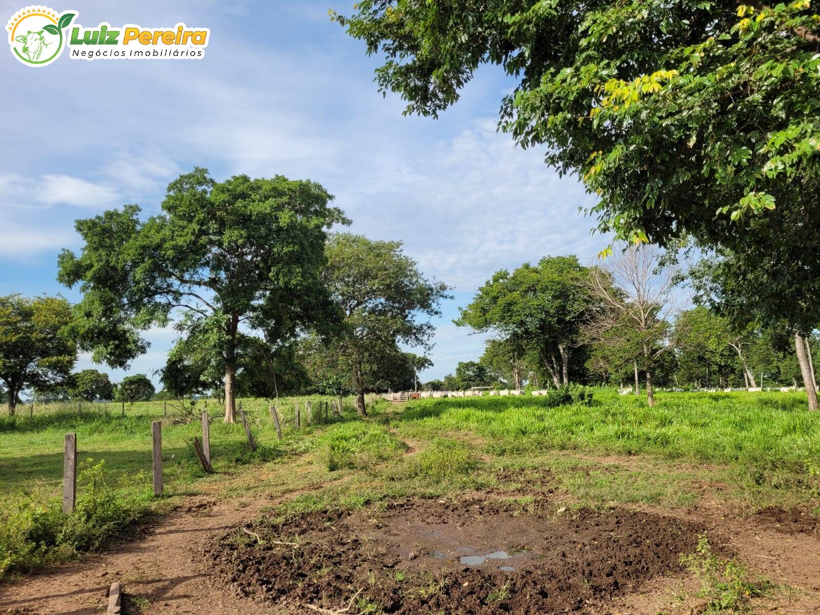 Fazenda à venda, 1488m² - Foto 15