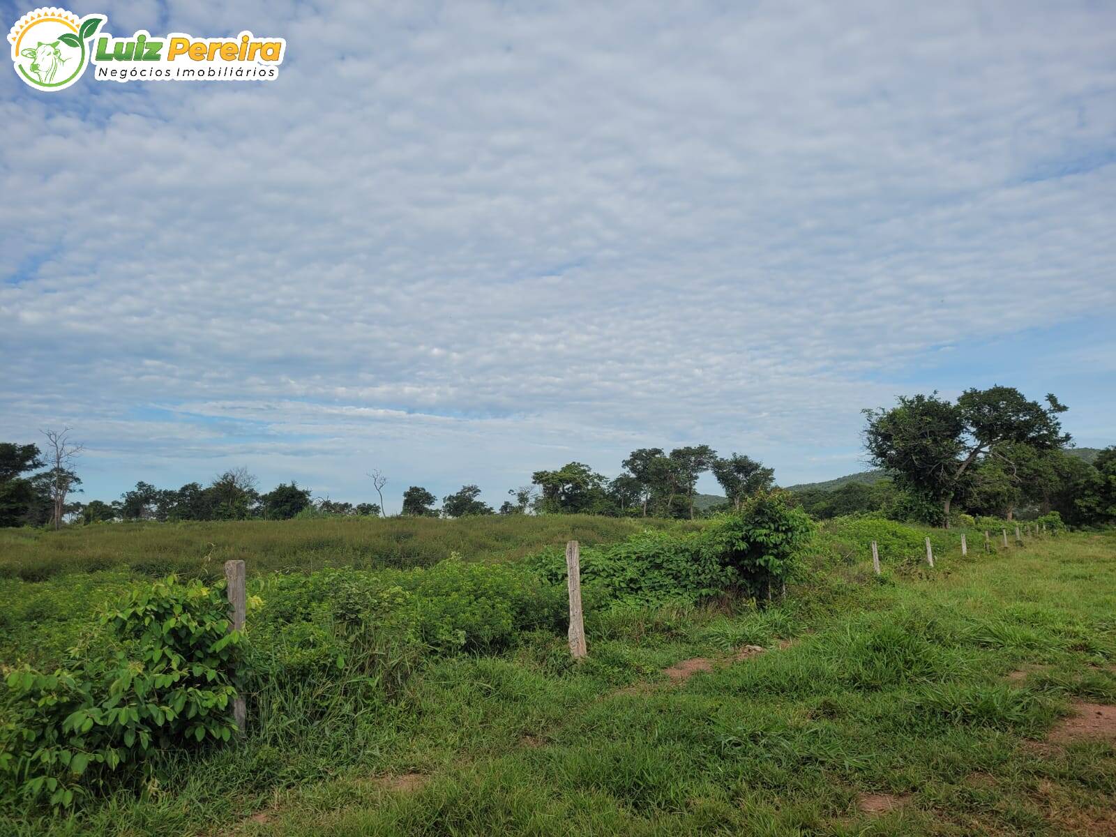 Fazenda à venda, 1488m² - Foto 49