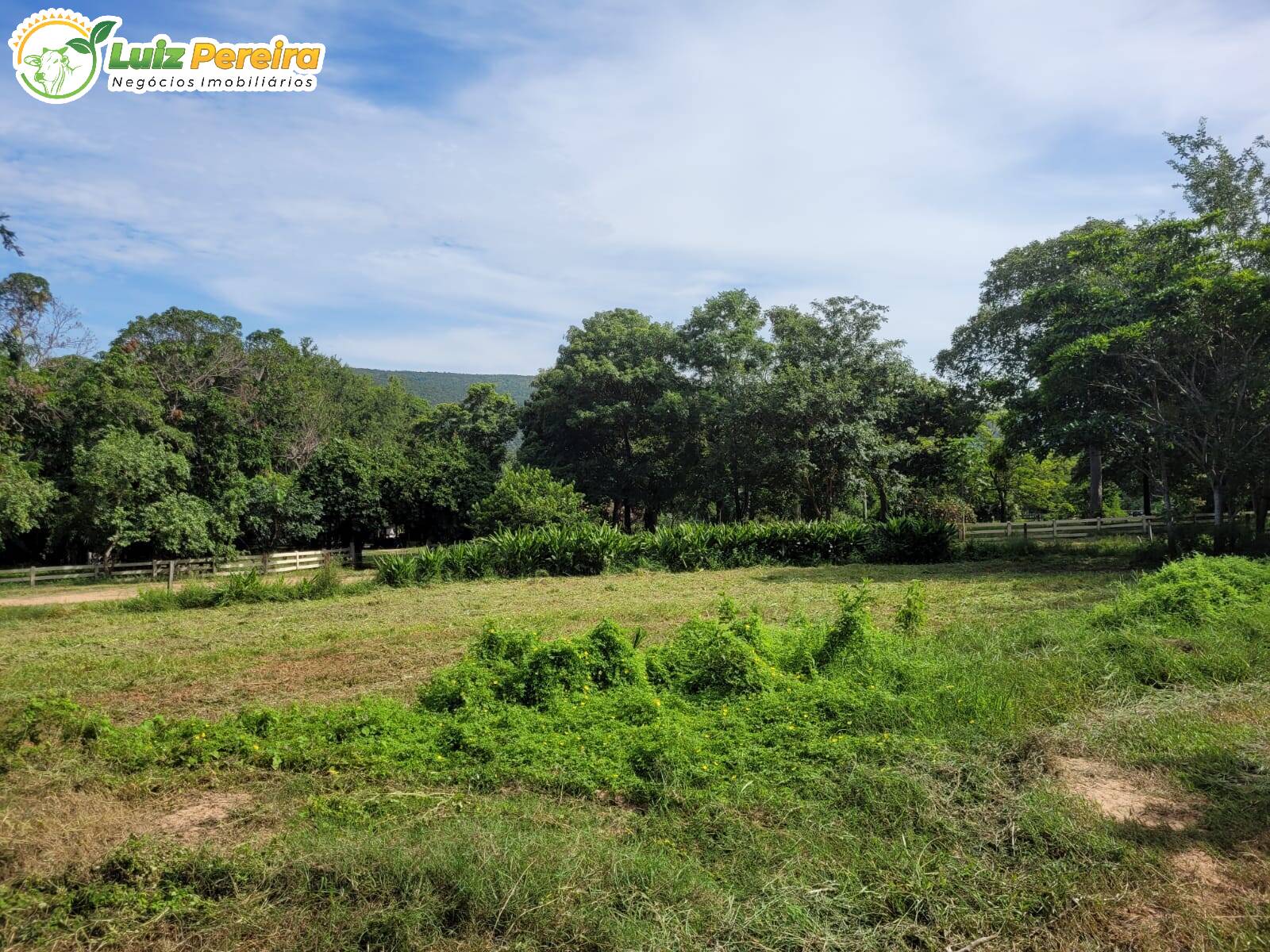 Fazenda à venda, 1488m² - Foto 5