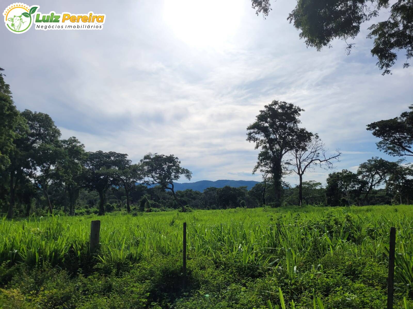 Fazenda à venda, 1488m² - Foto 19