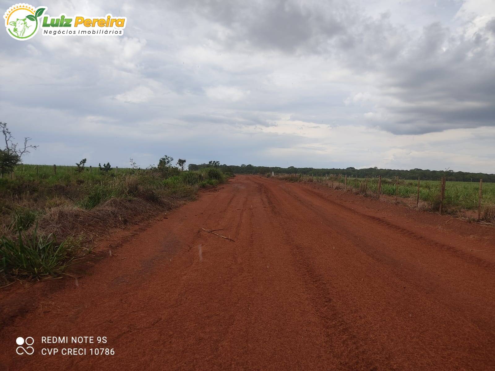 Fazenda à venda, 11920m² - Foto 15