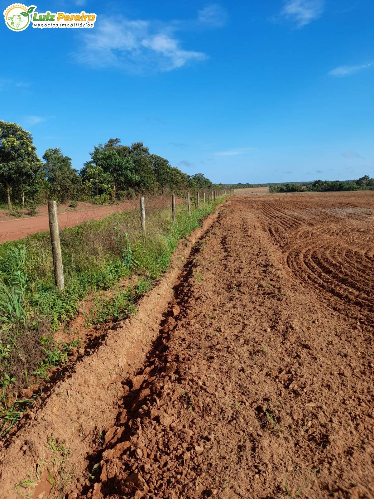 Fazenda à venda, 3726m² - Foto 6