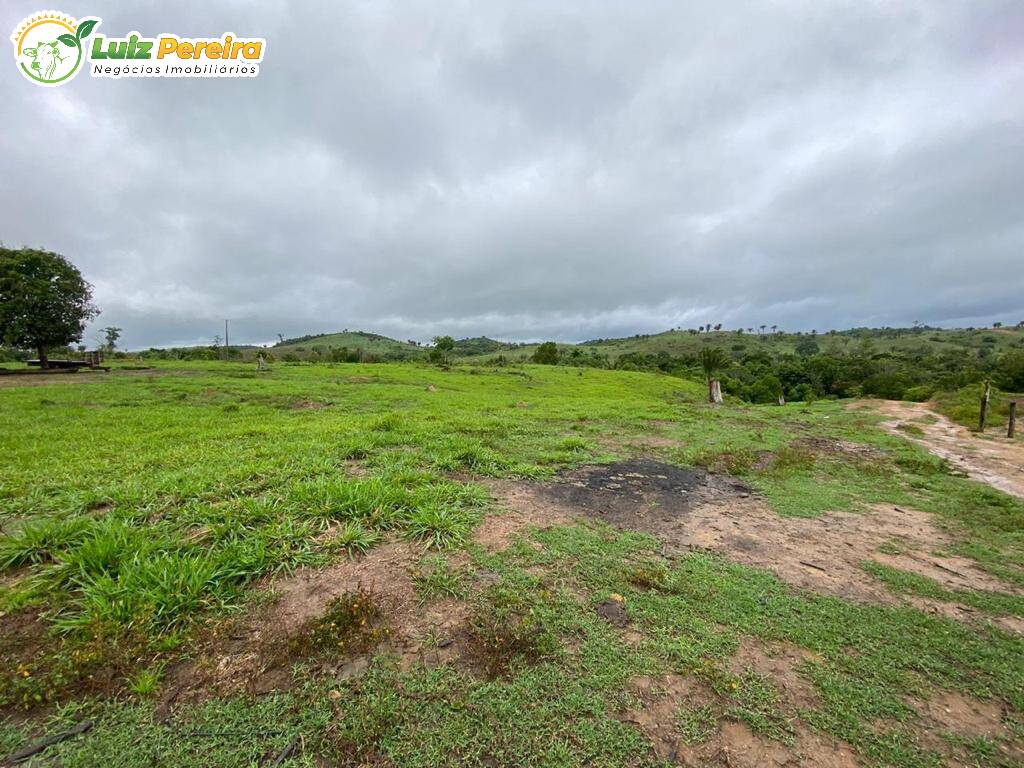 Fazenda à venda, 498m² - Foto 15