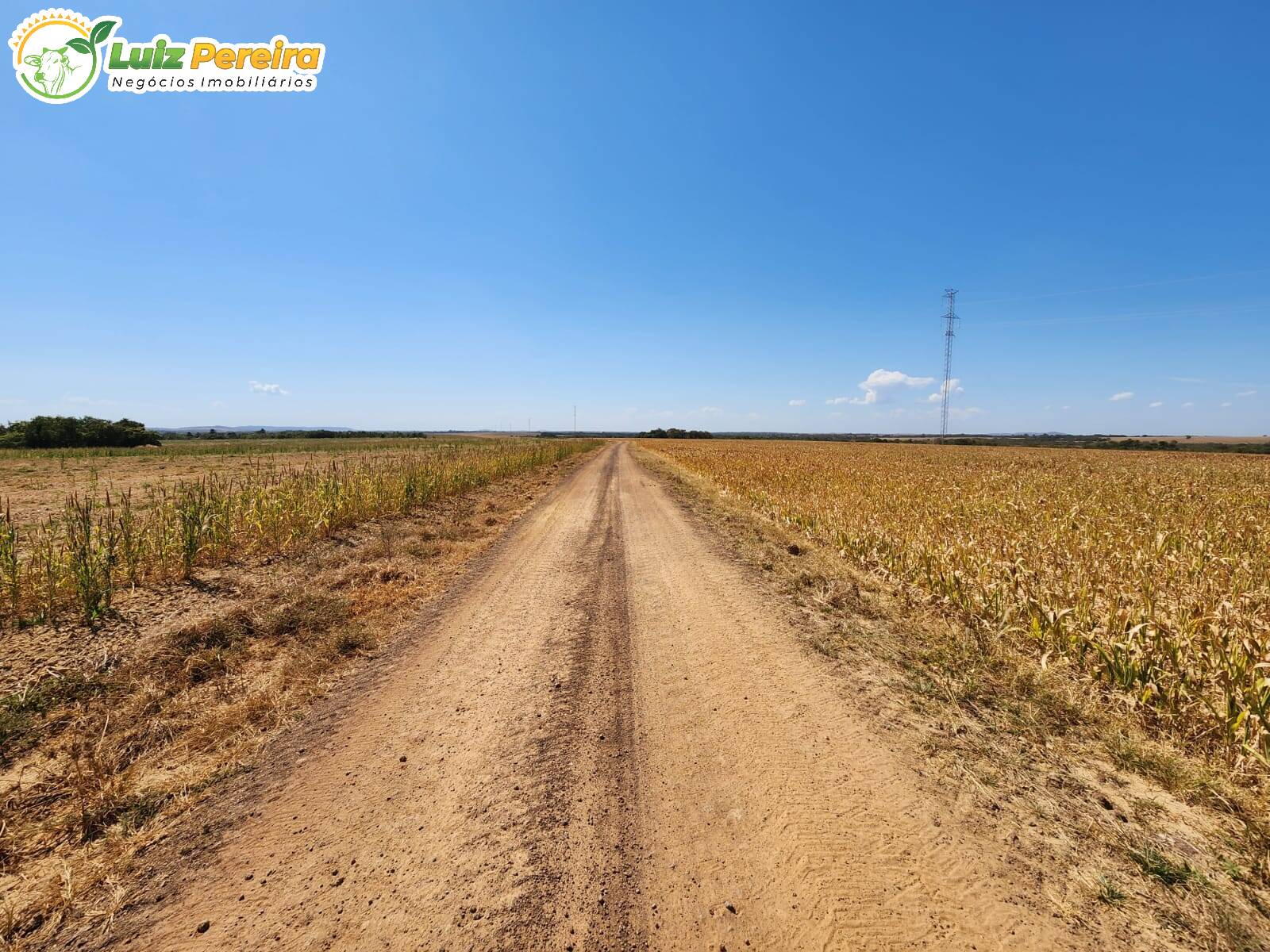 Fazenda à venda, 2244m² - Foto 28