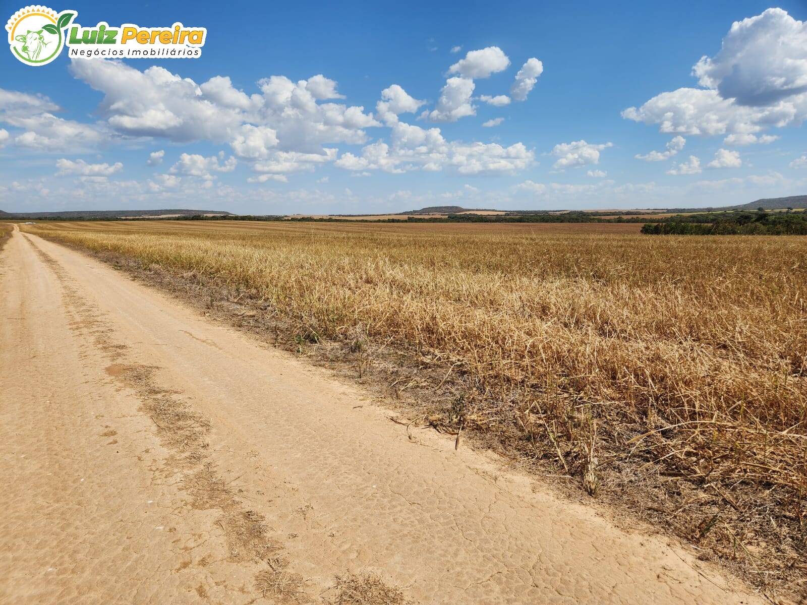 Fazenda à venda, 2244m² - Foto 29