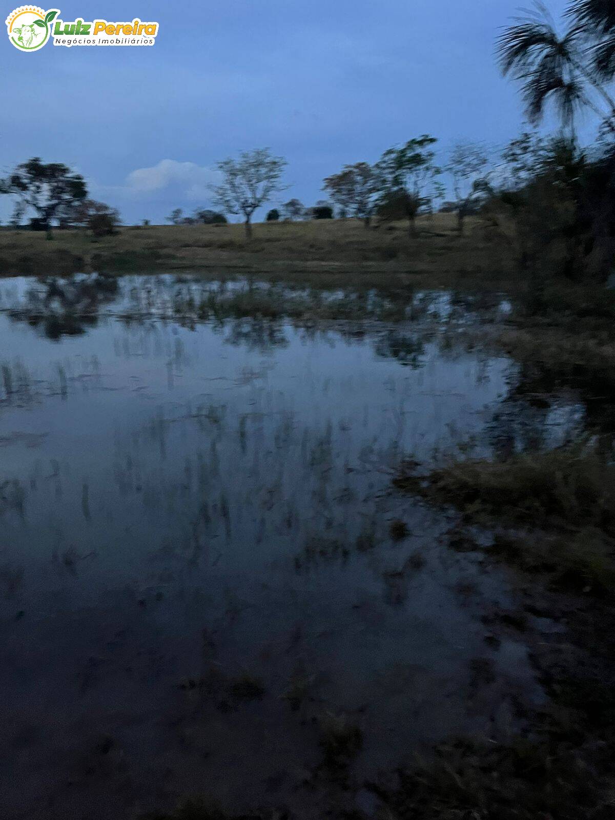 Fazenda à venda, 636m² - Foto 5