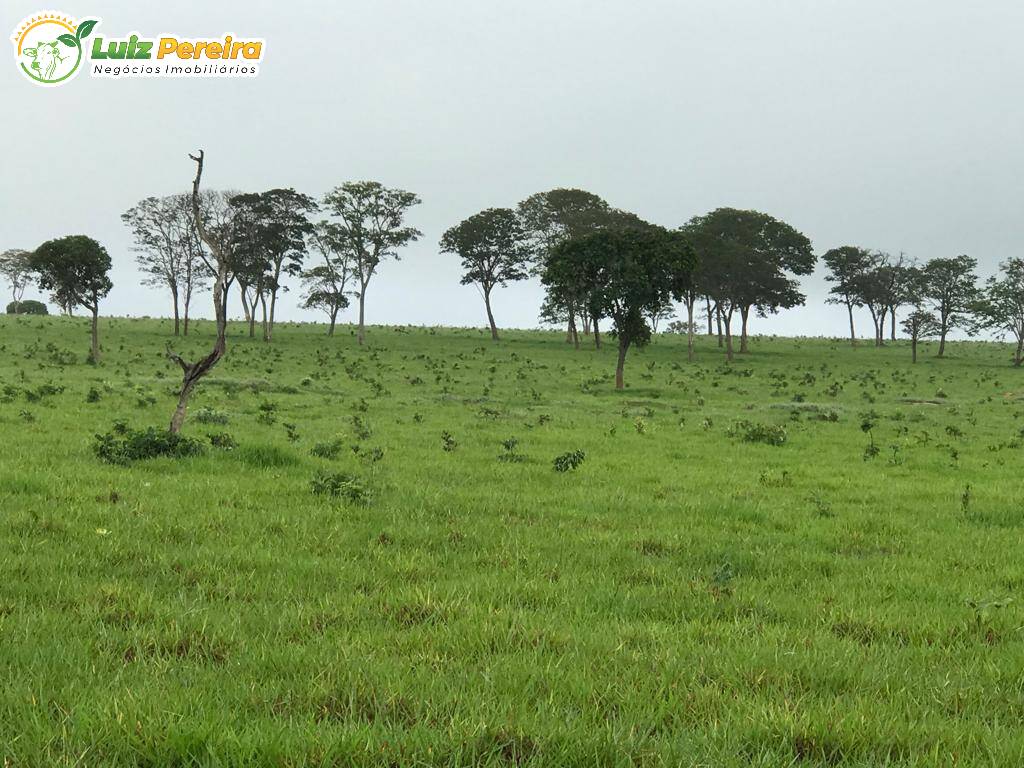 Fazenda à venda, 2400m² - Foto 7