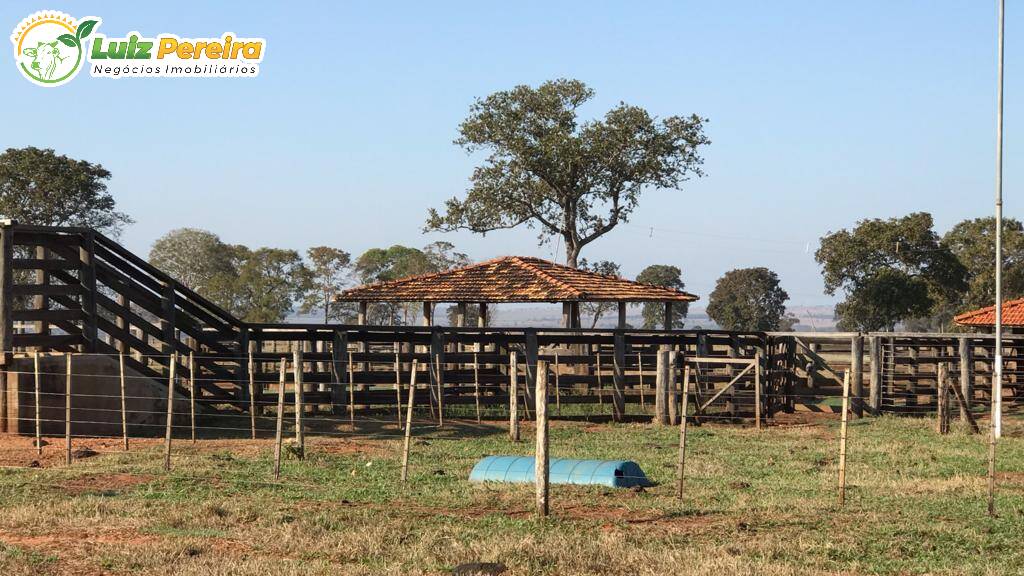 Fazenda à venda, 2400m² - Foto 12