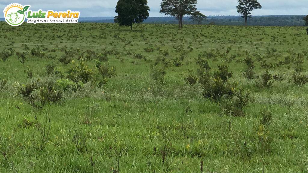 Fazenda à venda, 2400m² - Foto 8