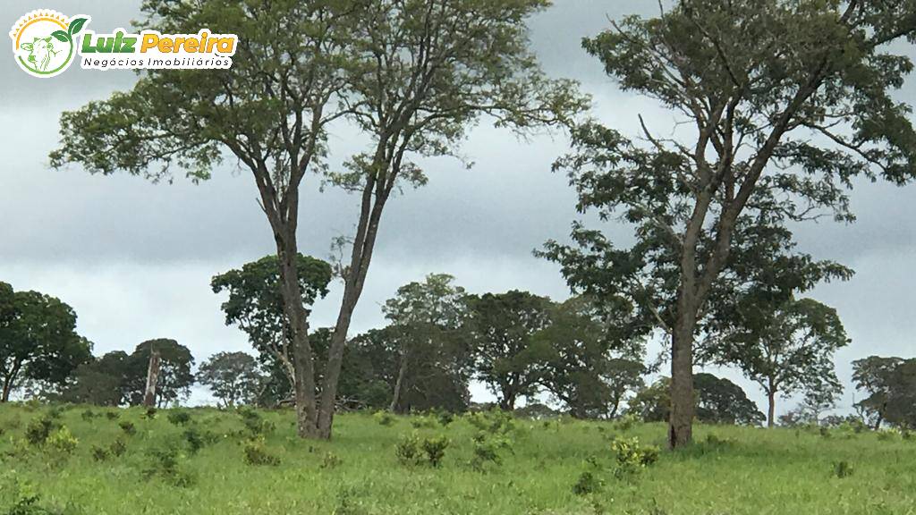 Fazenda à venda, 2400m² - Foto 5