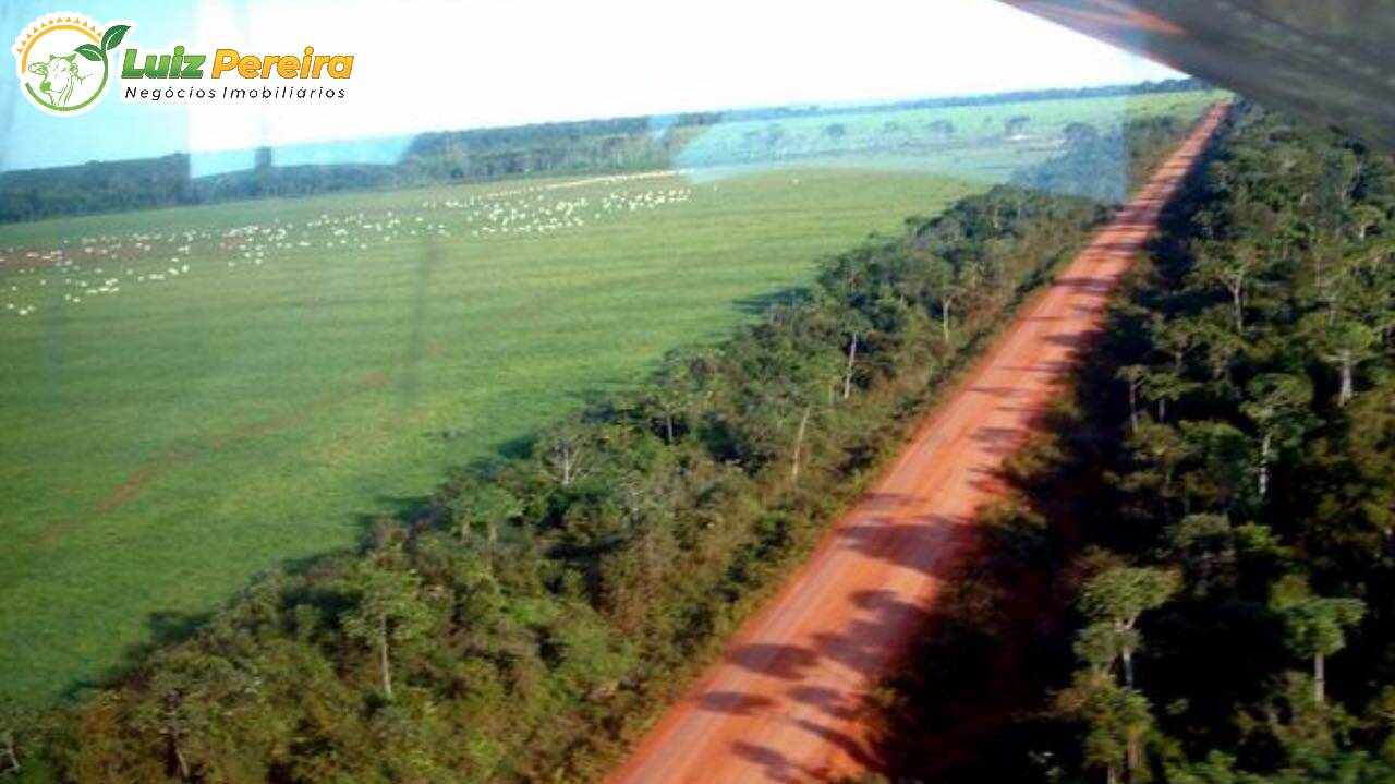 Fazenda à venda, 100000m² - Foto 13