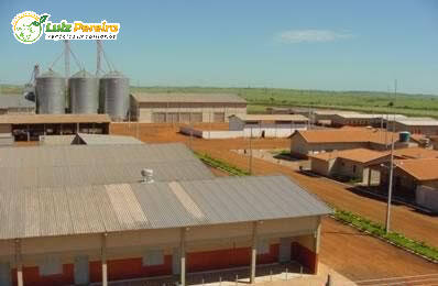 Fazenda à venda, 100000m² - Foto 14