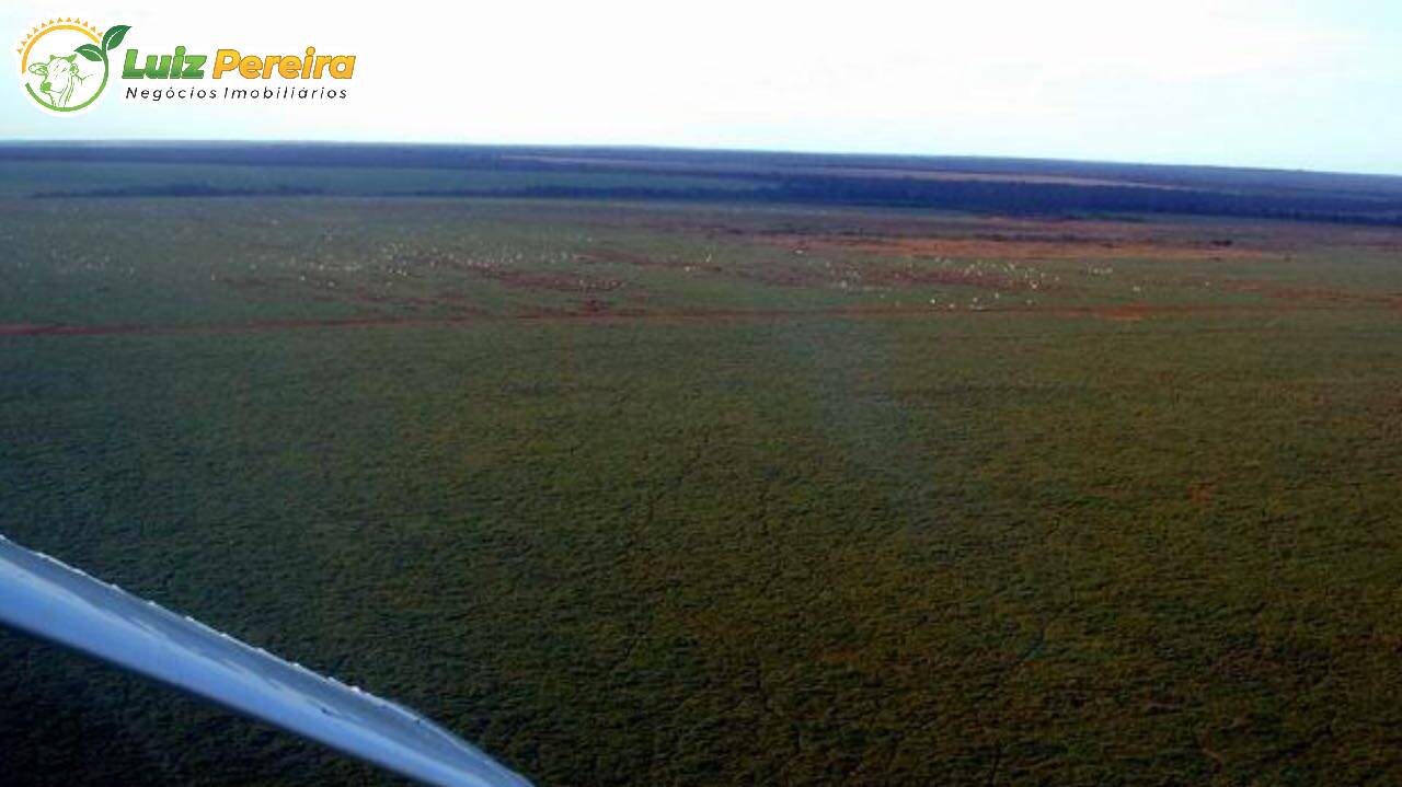 Fazenda à venda, 100000m² - Foto 15