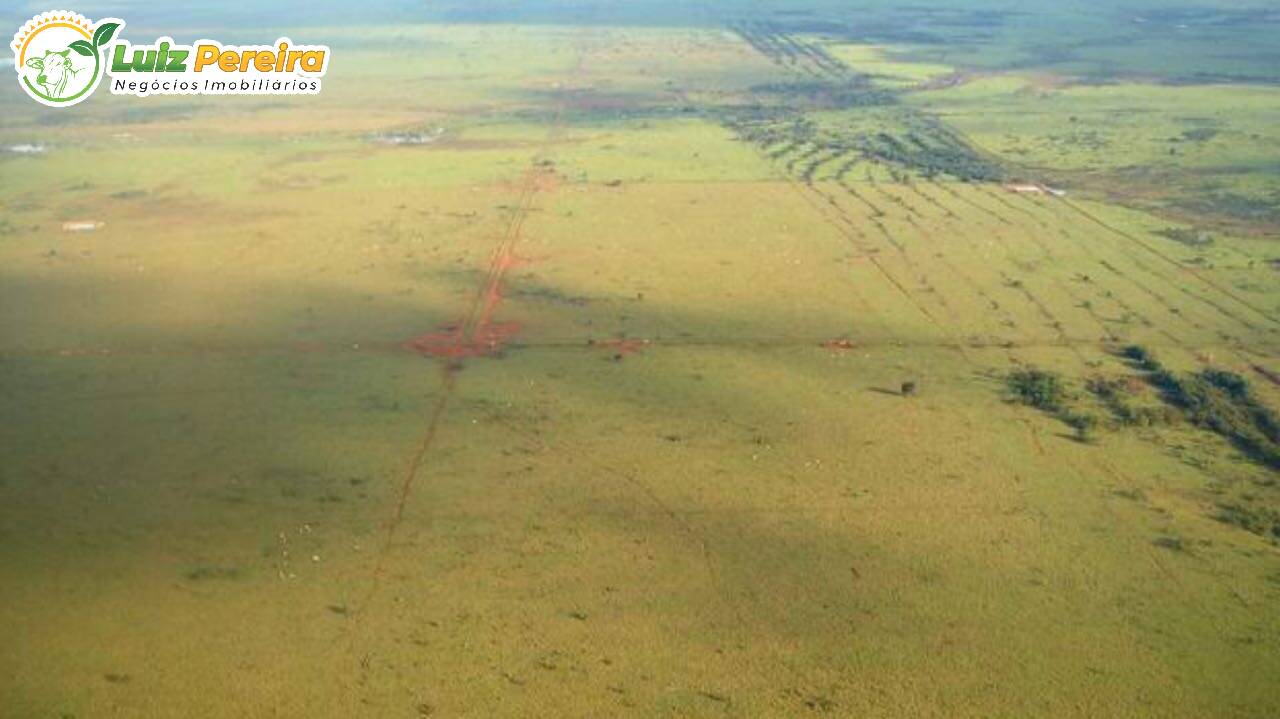 Fazenda à venda, 100000m² - Foto 7