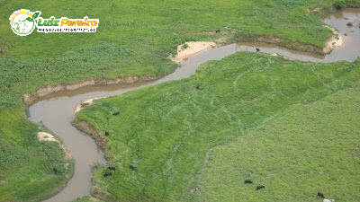 Fazenda à venda, 100000m² - Foto 8