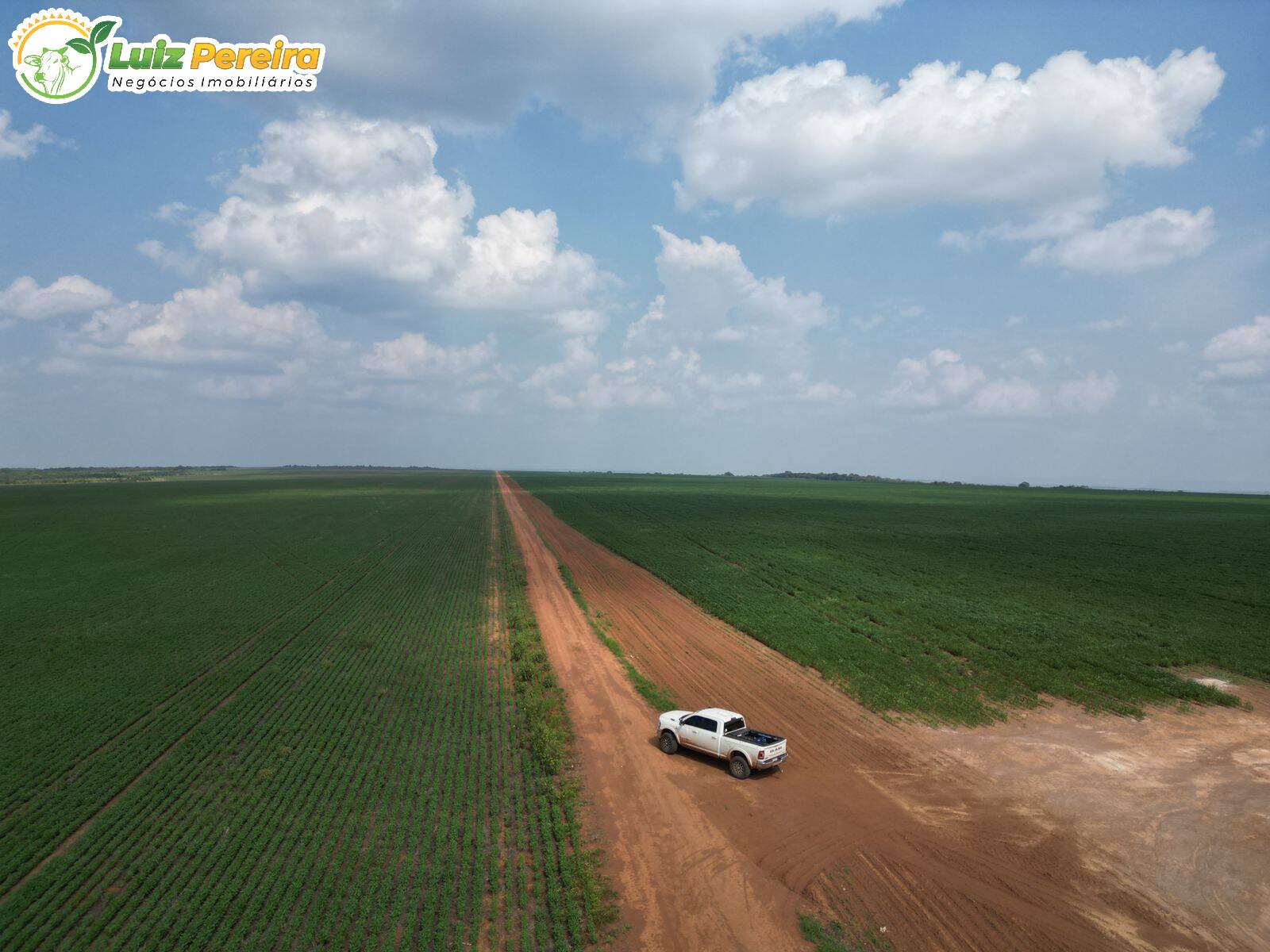 Fazenda à venda, 2400m² - Foto 8