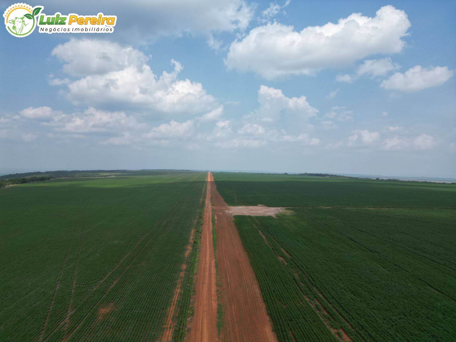 Fazenda à venda, 2400m² - Foto 7