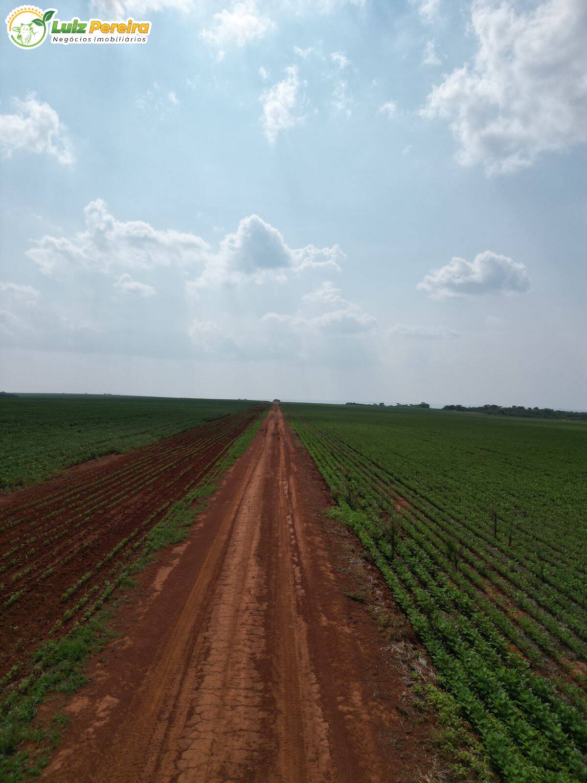 Fazenda à venda, 2400m² - Foto 10