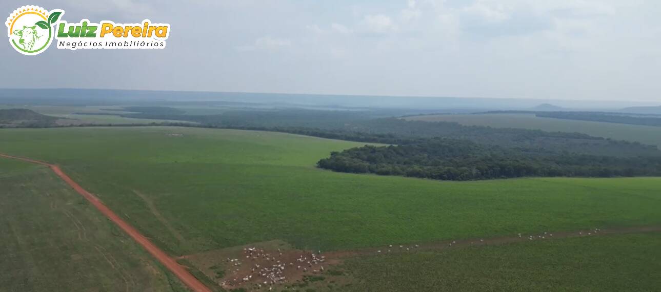 Fazenda à venda, 2400m² - Foto 5