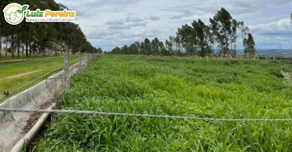 Fazenda à venda, 8733m² - Foto 6