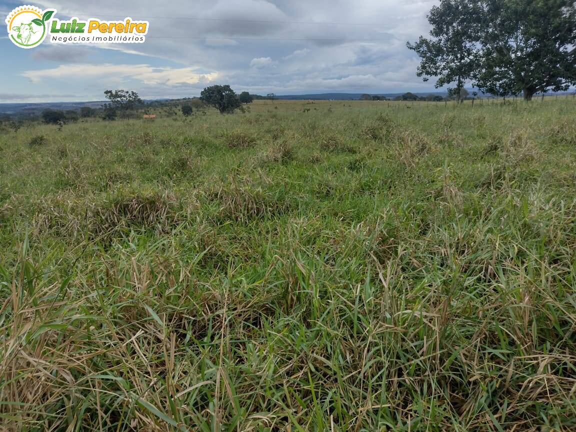 Fazenda à venda, 8733m² - Foto 7