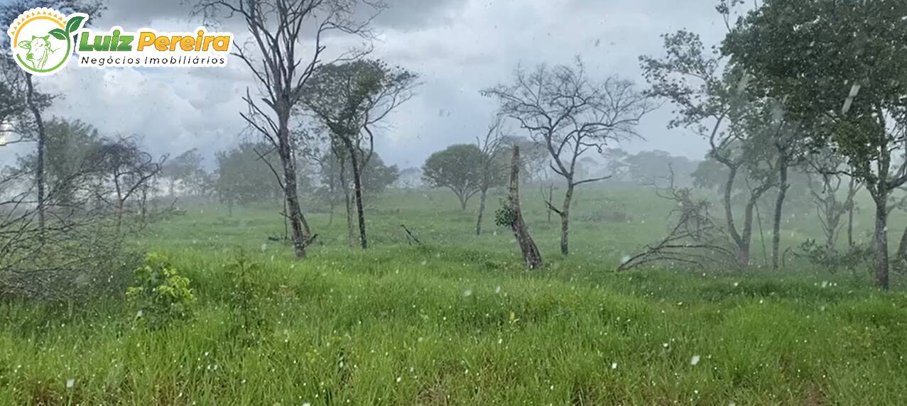 Fazenda à venda, 8733m² - Foto 5