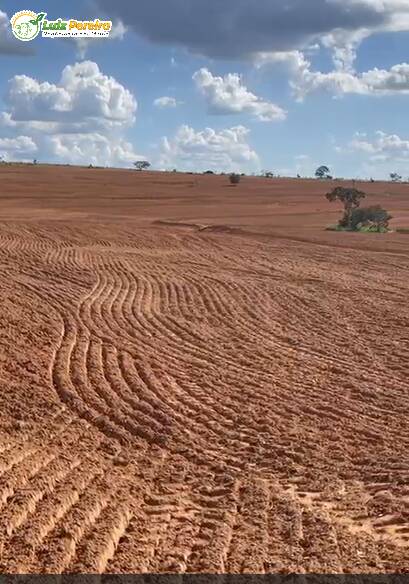 Fazenda à venda, 8733m² - Foto 11