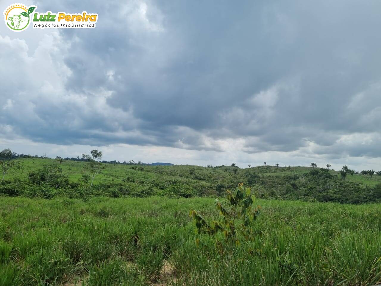 Fazenda à venda, 1936m² - Foto 5