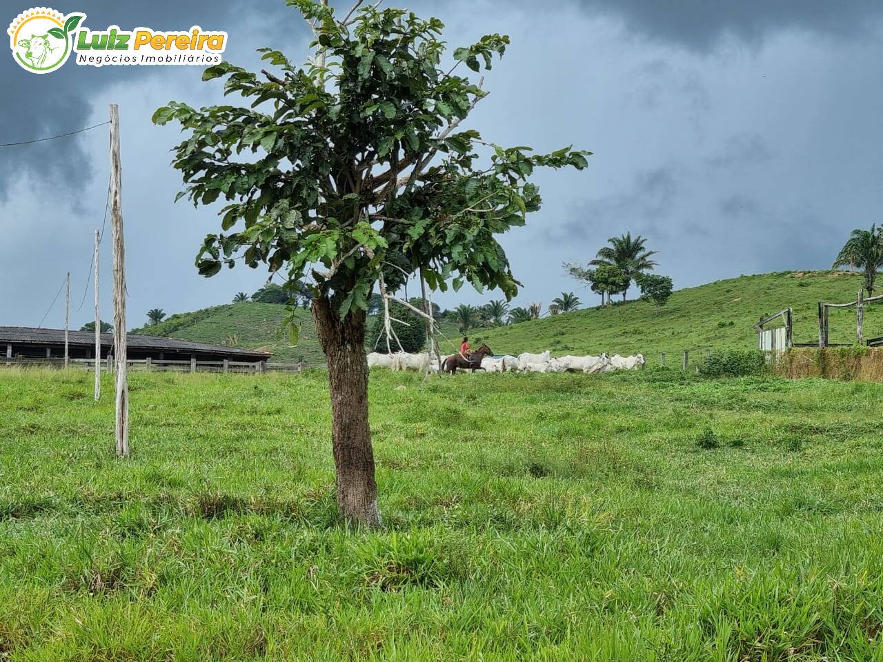 Fazenda à venda, 1936m² - Foto 2