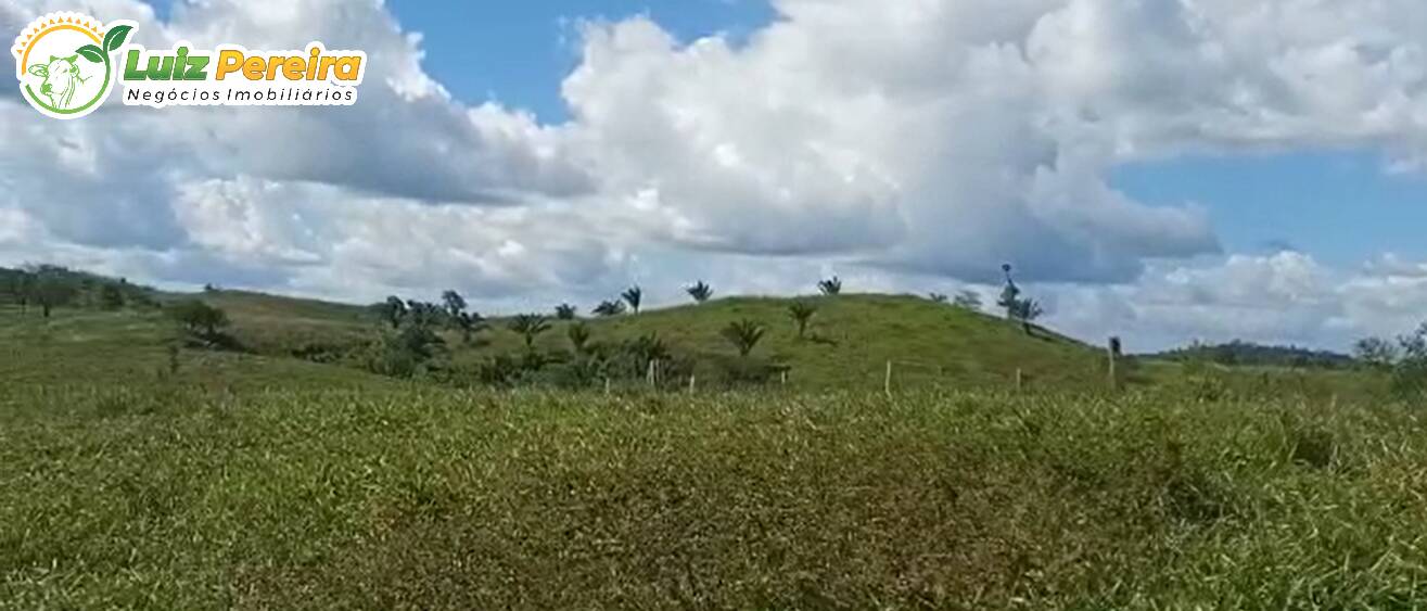 Fazenda à venda, 1936m² - Foto 3