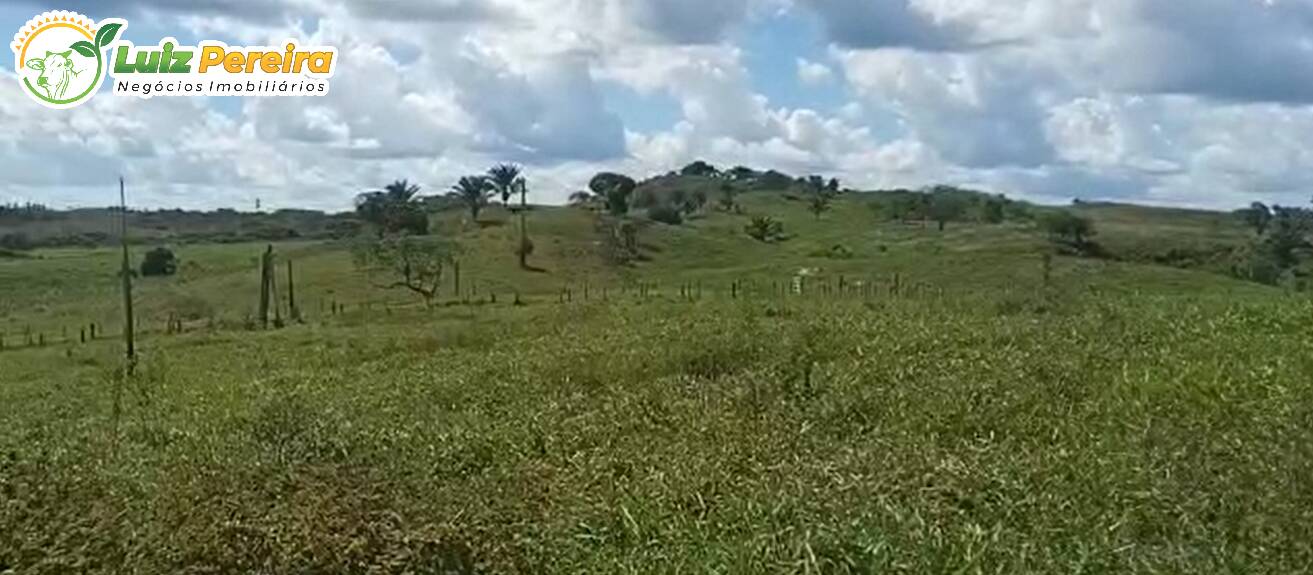 Fazenda à venda, 1936m² - Foto 6