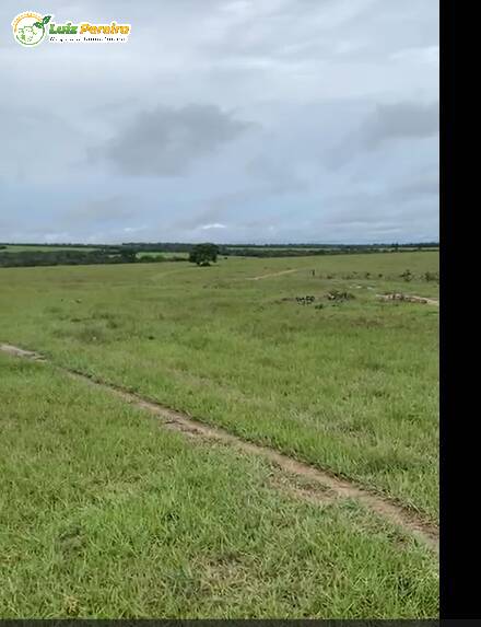 Fazenda à venda, 1589m² - Foto 6