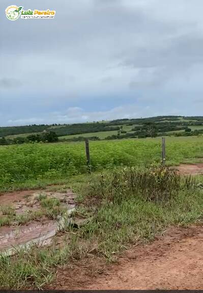 Fazenda à venda, 1589m² - Foto 7