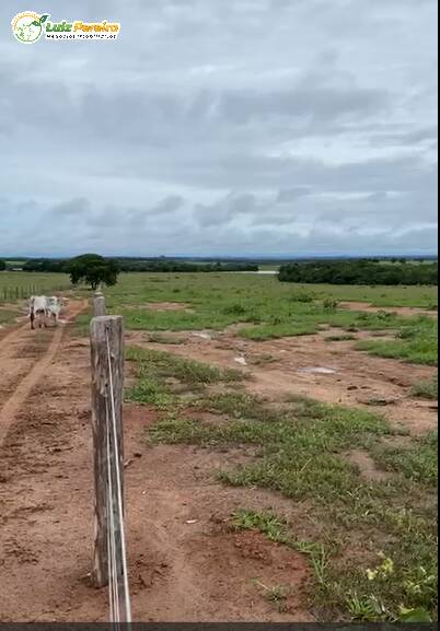 Fazenda à venda, 1589m² - Foto 8