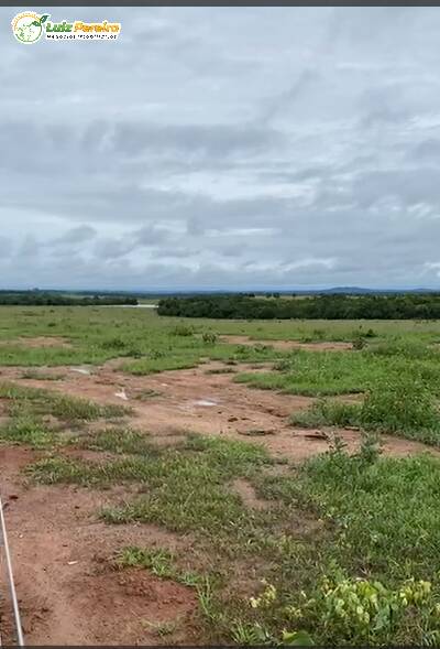 Fazenda à venda, 1589m² - Foto 9