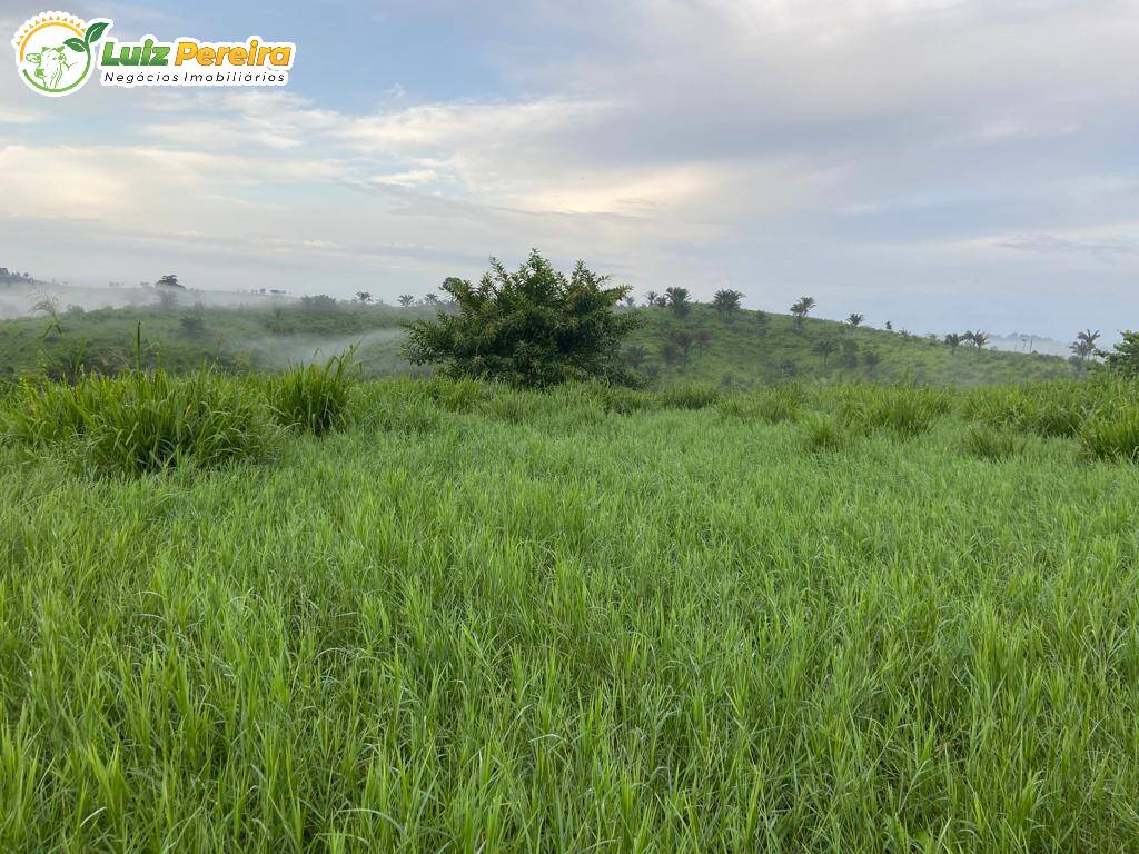 Fazenda à venda, 484m² - Foto 11