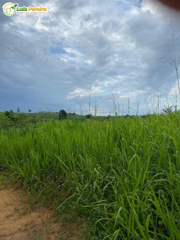 Fazenda à venda, 484m² - Foto 5