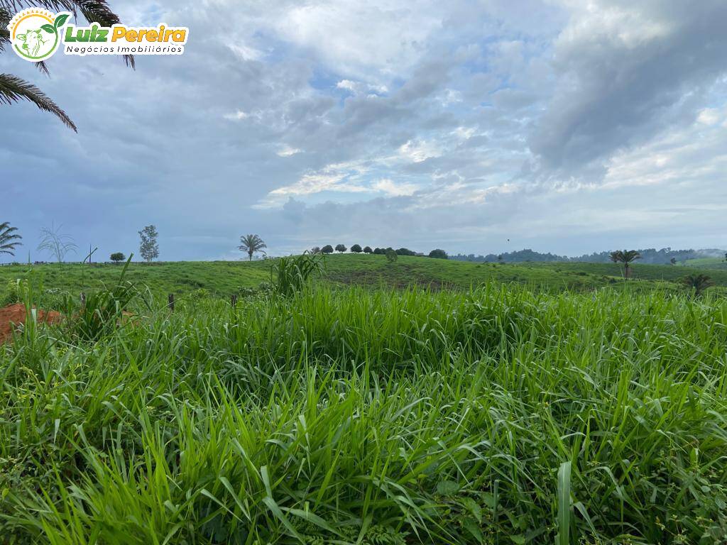 Fazenda à venda, 484m² - Foto 7